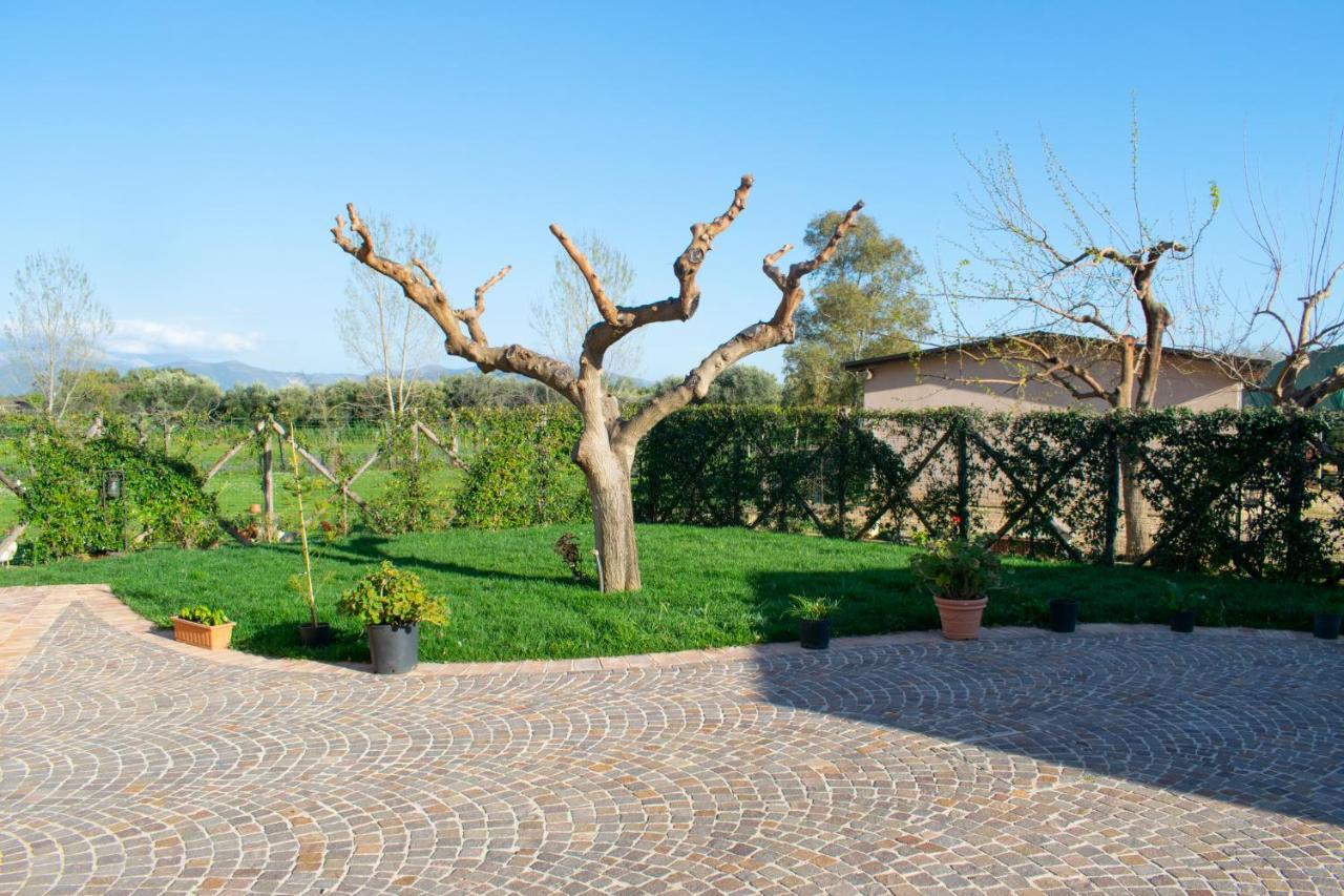 Camera Iris - B&B Antico Casale Monte San Biagio Bagian luar foto